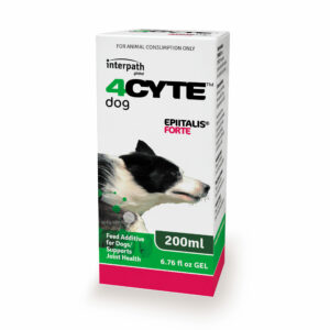 4Cyte Epiitalis Forte Gel for Dogs 200ml